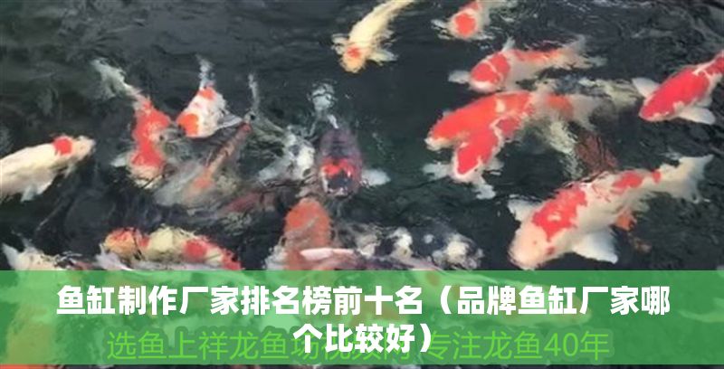 魚(yú)缸制作廠(chǎng)家排名榜前十名（品牌魚(yú)缸廠(chǎng)家哪個(gè)比較好）