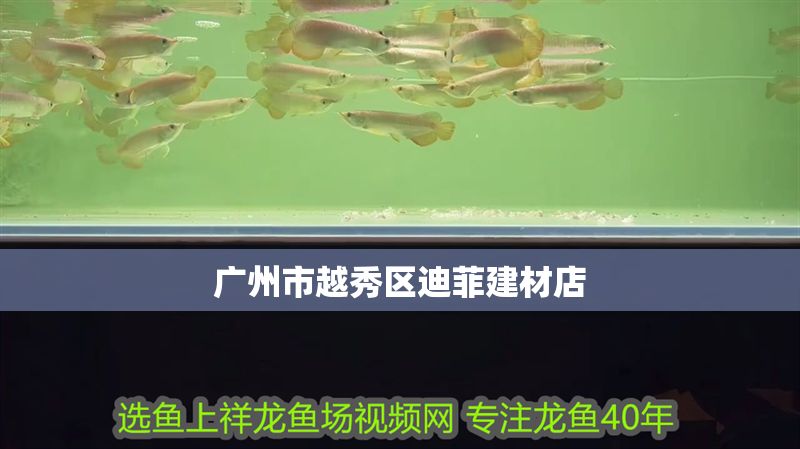 廣州市越秀區(qū)迪菲建材店 廣州市越秀區(qū)迪菲建材店 全國(guó)水族館企業(yè)名錄 第1張