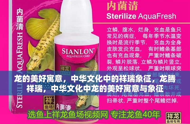 龍的美好寓意，中華文化中的祥瑞象征，龍騰祥瑞，中華文化中龍的美好寓意與象征