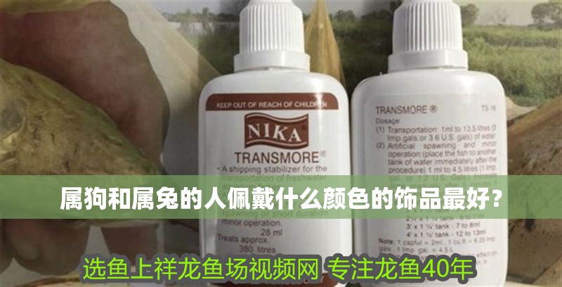 屬狗和屬兔的人佩戴什么顏色的飾品最好？