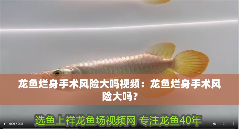 龍魚爛身手術風險大嗎視頻：龍魚爛身手術風險大嗎？