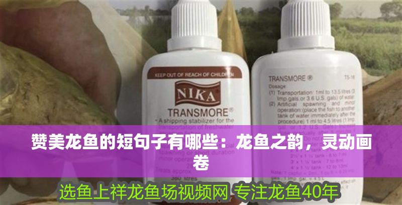 贊美龍魚的短句子有哪些：龍魚之韻，靈動畫卷