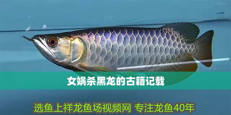 女媧殺黑龍的古籍記載