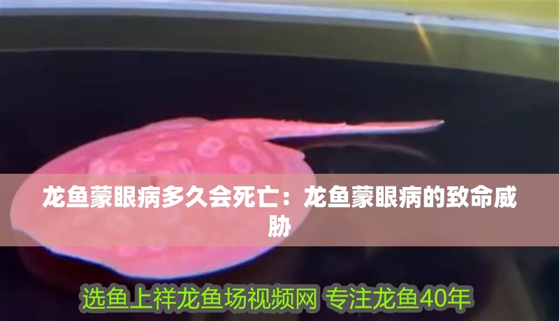 龍魚(yú)蒙眼病多久會(huì)死亡：龍魚(yú)蒙眼病的致命威脅
