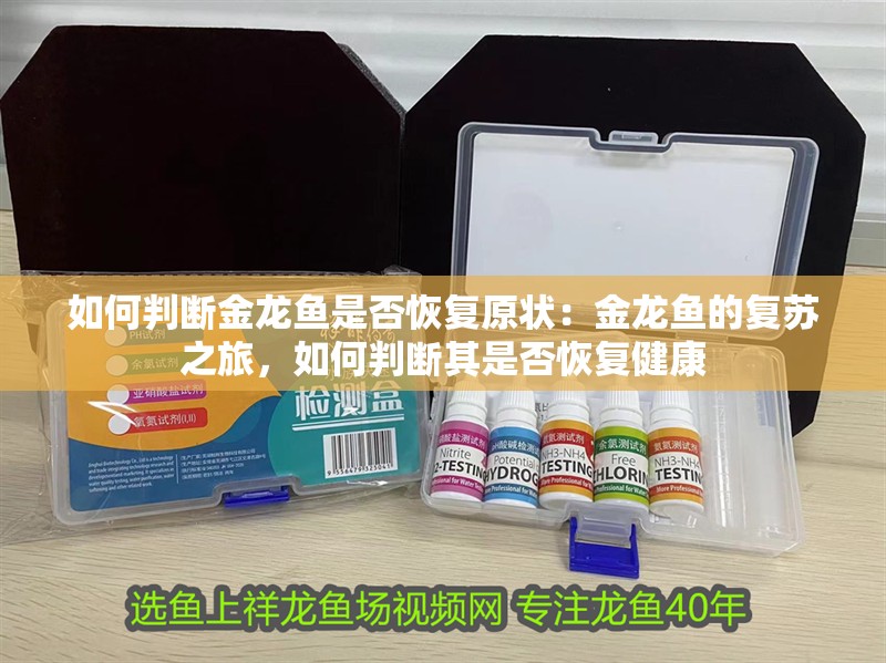 如何判斷金龍魚是否恢復(fù)原狀：金龍魚的復(fù)蘇之旅，如何判斷其是否恢復(fù)健康