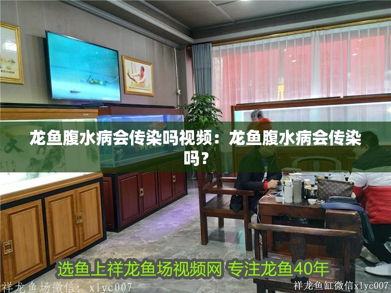 龍魚腹水病會傳染嗎視頻：龍魚腹水病會傳染嗎？