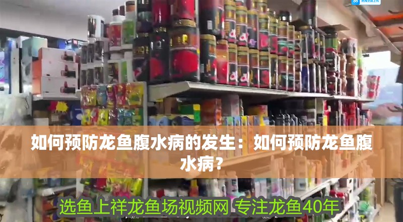 如何預(yù)防龍魚腹水病的發(fā)生：如何預(yù)防龍魚腹水病？