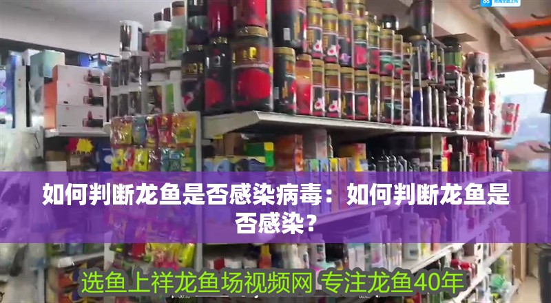 如何判斷龍魚是否感染病毒：如何判斷龍魚是否感染？