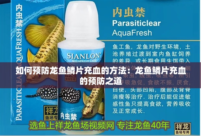 如何預(yù)防龍魚鱗片充血的方法：龍魚鱗片充血的預(yù)防之道