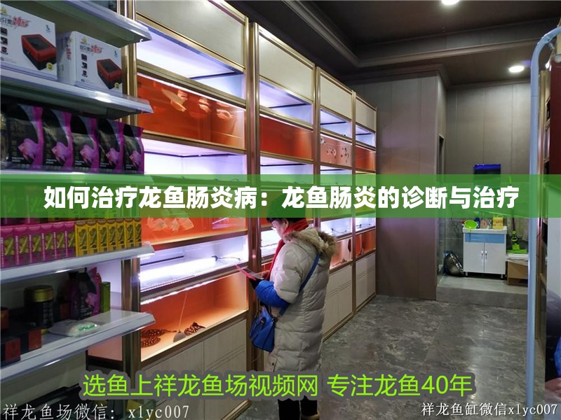 如何治療龍魚腸炎病：龍魚腸炎的診斷與治療