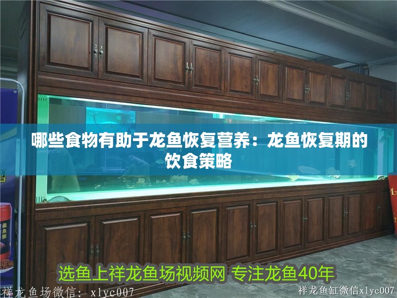 哪些食物有助于龍魚恢復(fù)營養(yǎng)：龍魚恢復(fù)期的飲食策略