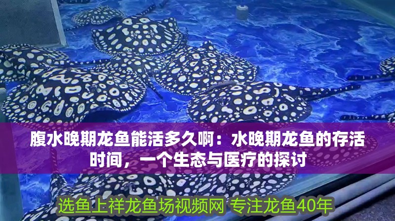 腹水晚期龍魚能活多久啊：水晚期龍魚的存活時間，一個生態與醫療的探討