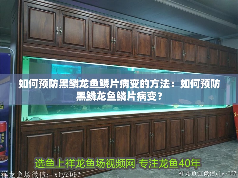 如何預(yù)防黑鱗龍魚鱗片病變的方法：如何預(yù)防黑鱗龍魚鱗片病變？