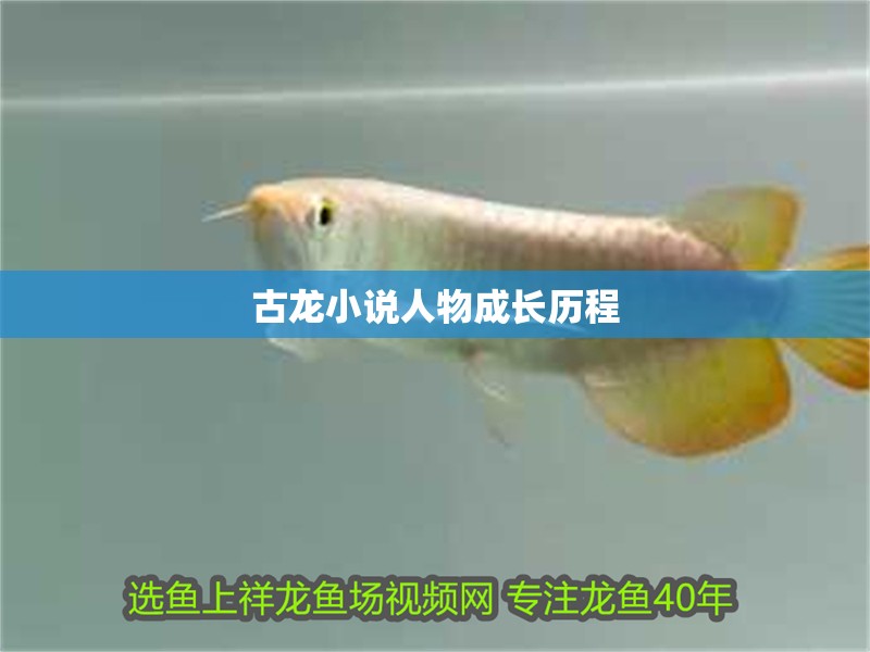 古龍小說人物成長歷程 古龍小說人物成長歷程 龍魚百科