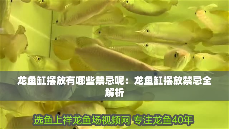 龍魚缸擺放有哪些禁忌呢：龍魚缸擺放禁忌全解析