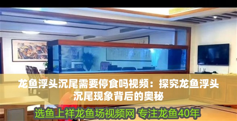 龍魚浮頭沉尾需要停食嗎視頻：探究龍魚浮頭沉尾現象背后的奧秘