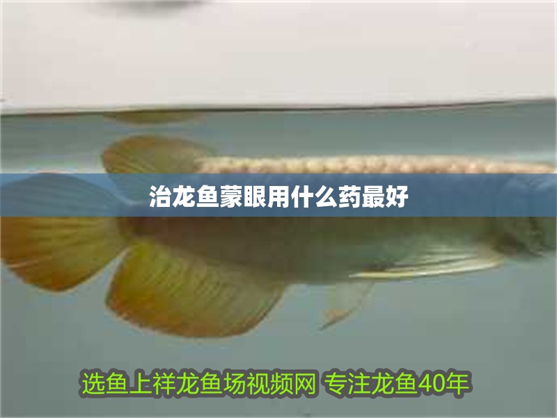 治龍魚蒙眼用什么藥最好