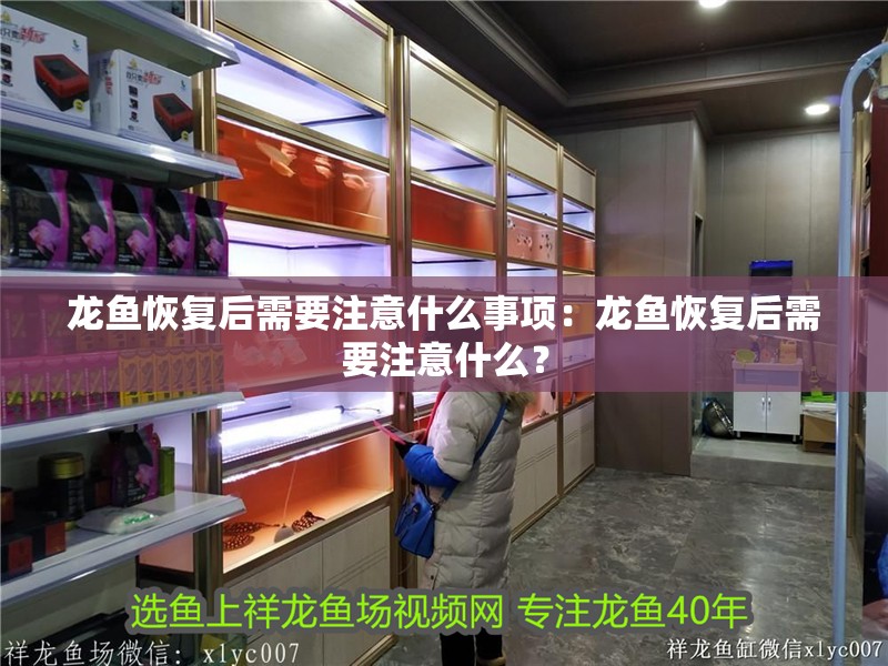 龍魚恢復后需要注意什么事項：龍魚恢復后需要注意什么？