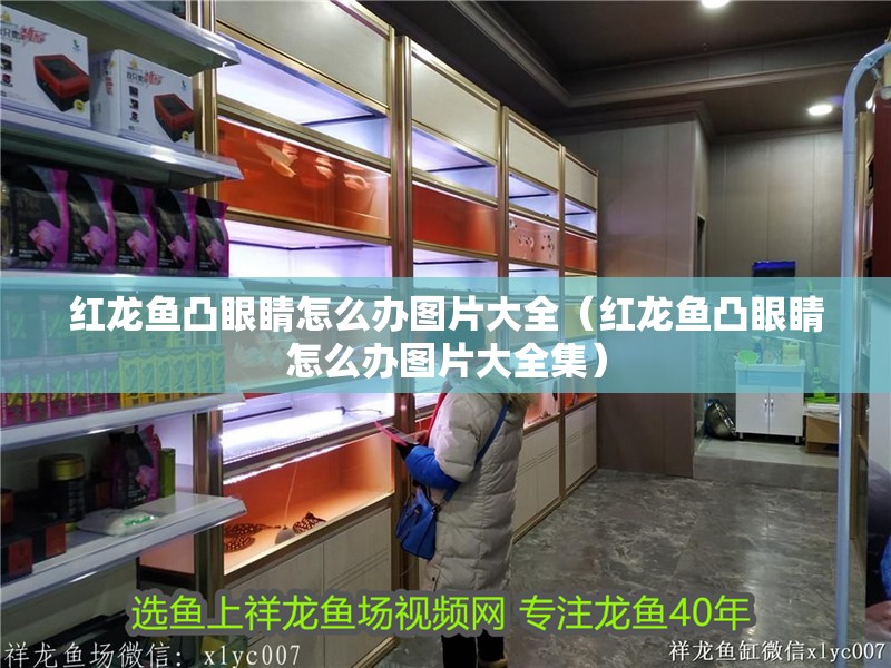 紅龍魚凸眼睛怎么辦圖片大全（紅龍魚凸眼睛怎么辦圖片大全集）