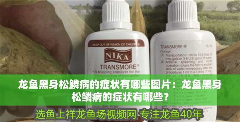 龍魚黑身松鱗病的癥狀有哪些圖片：龍魚黑身松鱗病的癥狀有哪些？