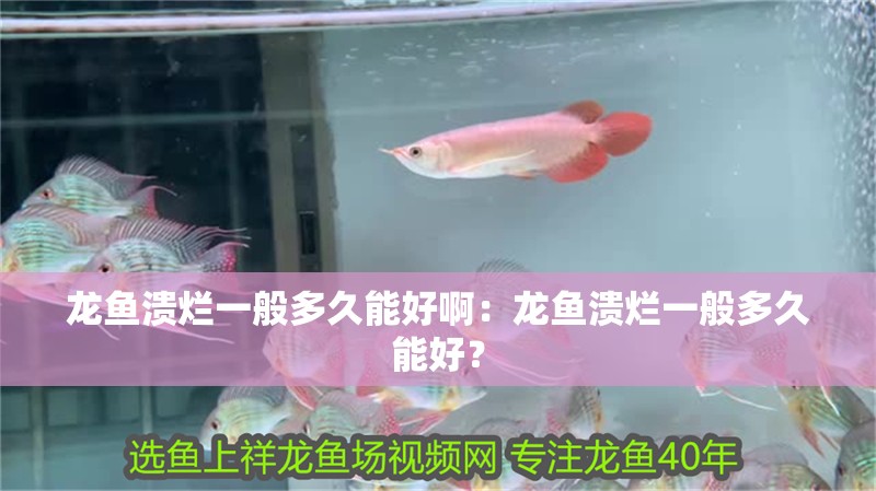 龍魚潰爛一般多久能好?。糊堲~潰爛一般多久能好？