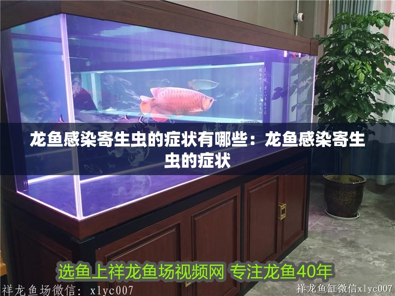 龍魚感染寄生蟲的癥狀有哪些：龍魚感染寄生蟲的癥狀