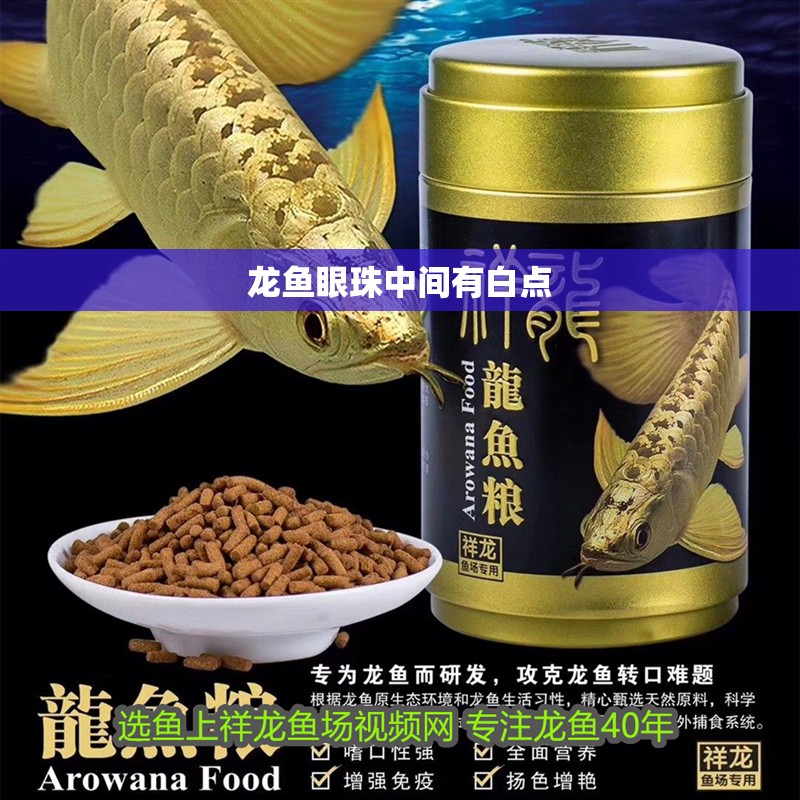 龍魚眼珠中間有白點 龍魚眼珠中間有白點 龍魚百科