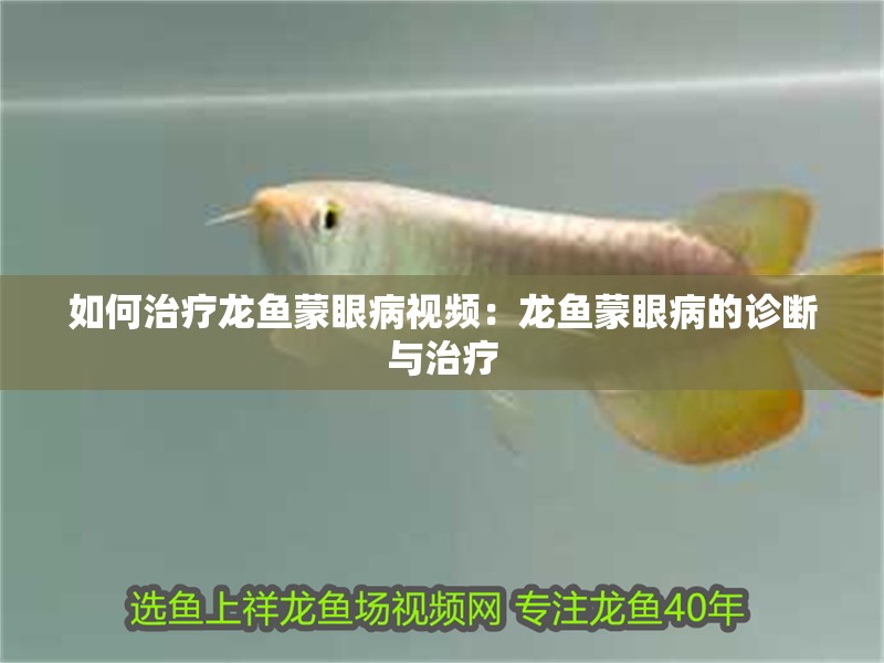 如何治療龍魚蒙眼病視頻：龍魚蒙眼病的診斷與治療