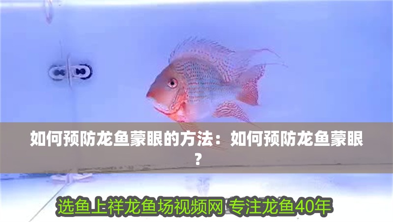 如何預(yù)防龍魚蒙眼的方法：如何預(yù)防龍魚蒙眼？