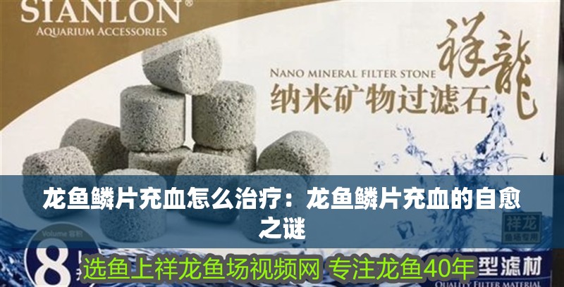 龍魚鱗片充血怎么治療：龍魚鱗片充血的自愈之謎