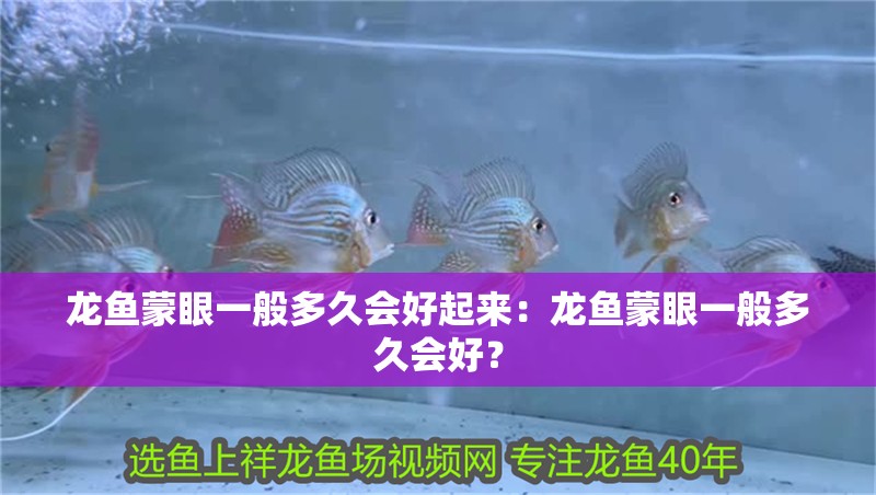 龍魚蒙眼一般多久會(huì)好起來(lái)：龍魚蒙眼一般多久會(huì)好？