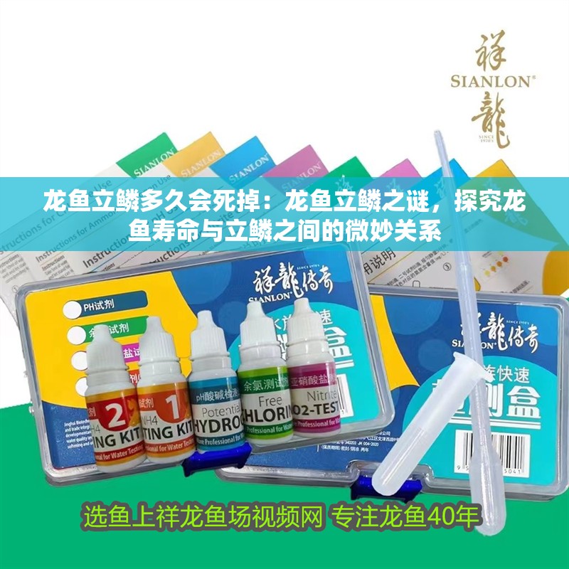 龍魚立鱗多久會(huì)死掉：龍魚立鱗之謎，探究龍魚壽命與立鱗之間的微妙關(guān)系