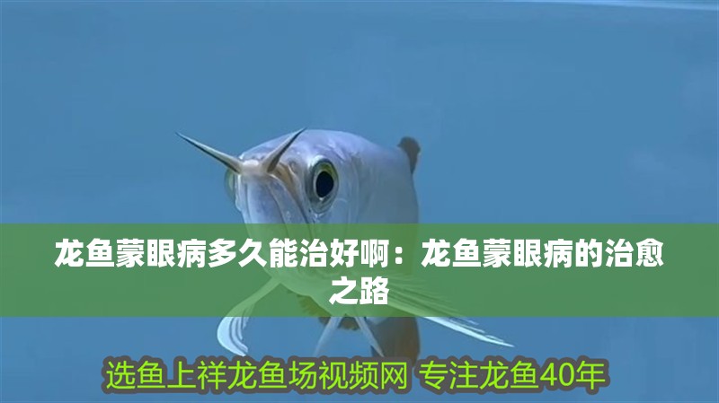 龍魚蒙眼病多久能治好啊：龍魚蒙眼病的治愈之路