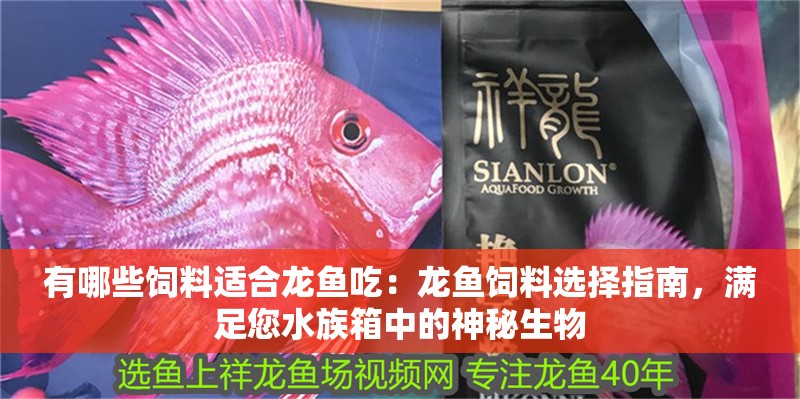 有哪些飼料適合龍魚吃：龍魚飼料選擇指南，滿足您水族箱中的神秘生物