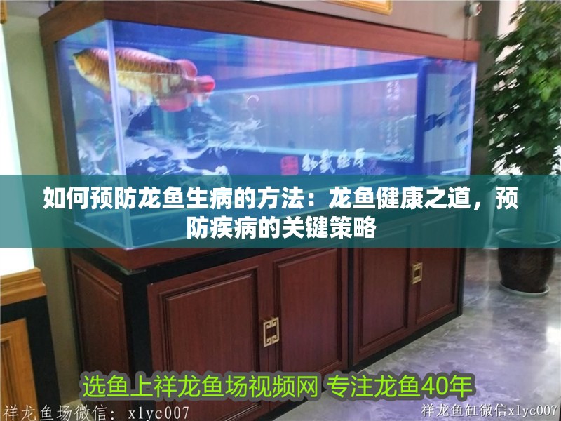 如何預防龍魚生病的方法：龍魚健康之道，預防疾病的關鍵策略