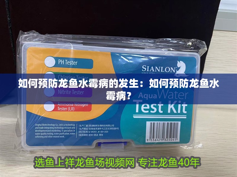 如何預防龍魚水霉病的發生：如何預防龍魚水霉病？
