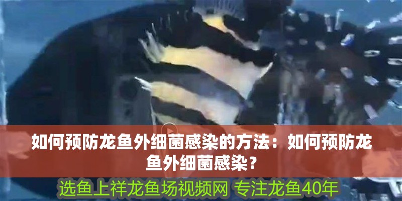 如何預防龍魚外細菌感染的方法：如何預防龍魚外細菌感染？