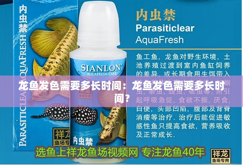 龍魚發色需要多長時間：龍魚發色需要多長時間？