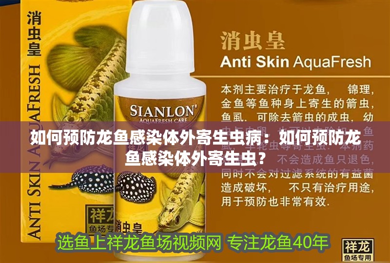 鸚鵡魚和銀龍魚混養(yǎng)怎樣喂食 如何預(yù)防龍魚感染體外寄生蟲病:如何預(yù)防龍魚感染體外寄生蟲? 水族問答 如何預(yù)防龍魚感染體外寄生蟲病:如何預(yù)防龍魚感染體外寄生蟲? 如何預(yù)防龍魚感染體外寄生蟲病:如何預(yù)防龍魚感染體外寄生蟲? 水族問答