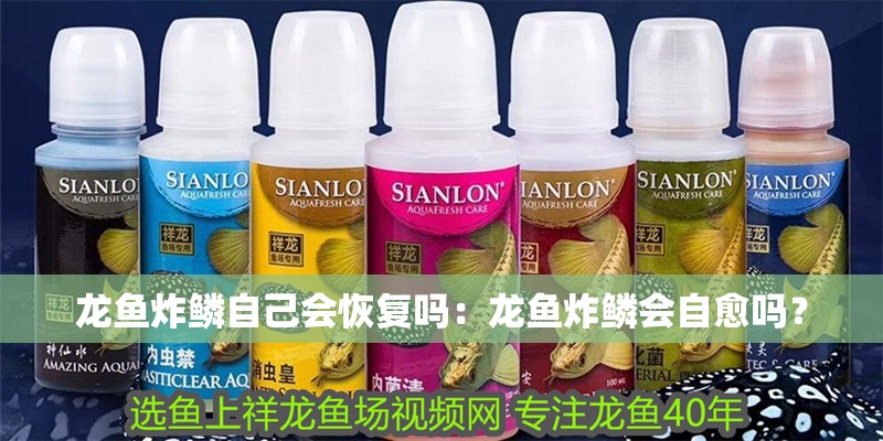 龍魚炸鱗自己會恢復(fù)嗎：龍魚炸鱗會自愈嗎？