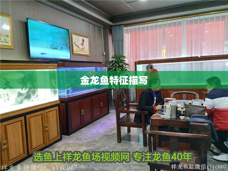 金龍魚(yú)特征描寫(xiě) 金龍魚(yú)特征描寫(xiě) 龍魚(yú)百科