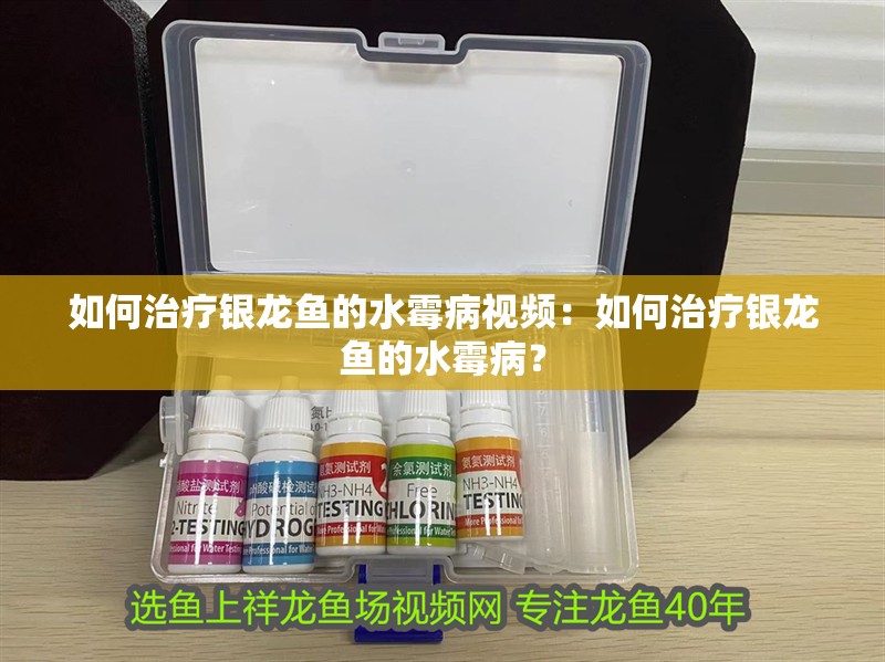 如何治療銀龍魚的水霉病視頻：如何治療銀龍魚的水霉病？