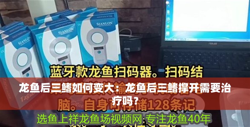 龍魚后三鰭如何變大：龍魚后三鰭撐開需要治療嗎？