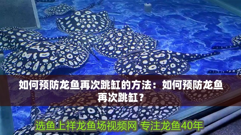 如何預防龍魚再次跳缸的方法：如何預防龍魚再次跳缸？