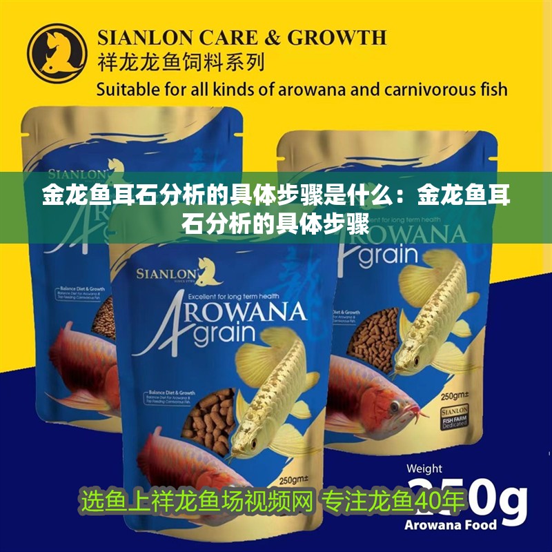 金龍魚耳石分析的具體步驟是什么：金龍魚耳石分析的具體步驟