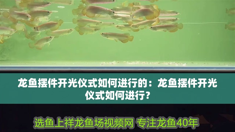 龍魚擺件開光儀式如何進行的：龍魚擺件開光儀式如何進行？