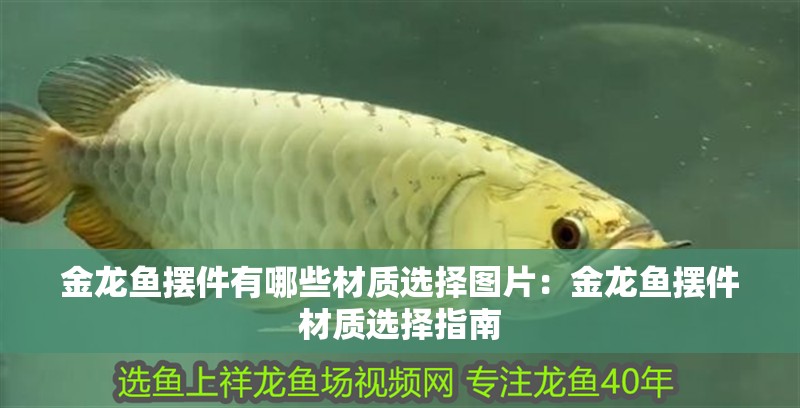金龍魚擺件有哪些材質選擇圖片：金龍魚擺件材質選擇指南