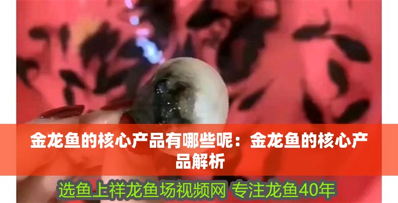 金龍魚的核心產(chǎn)品有哪些呢：金龍魚的核心產(chǎn)品解析