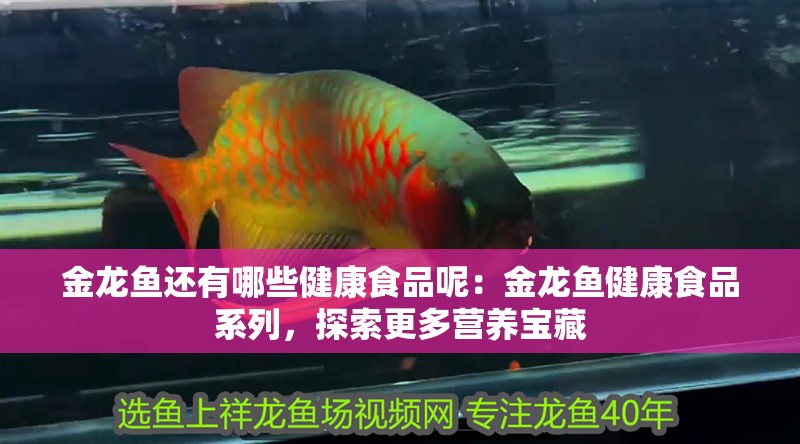 金龍魚還有哪些健康食品呢：金龍魚健康食品系列，探索更多營養寶藏