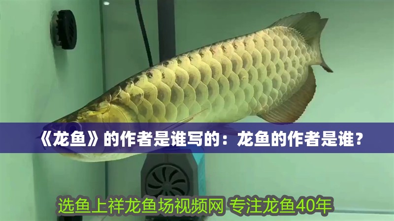 《龍魚》的作者是誰寫的：龍魚的作者是誰？